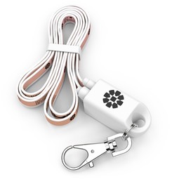 Powerstick Promotional Lanyard Charging Cable Combo